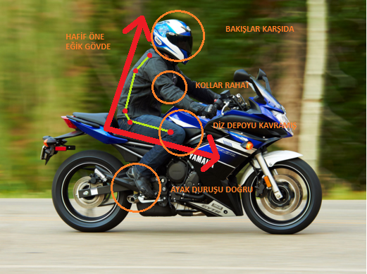 MOTOBEL.webp