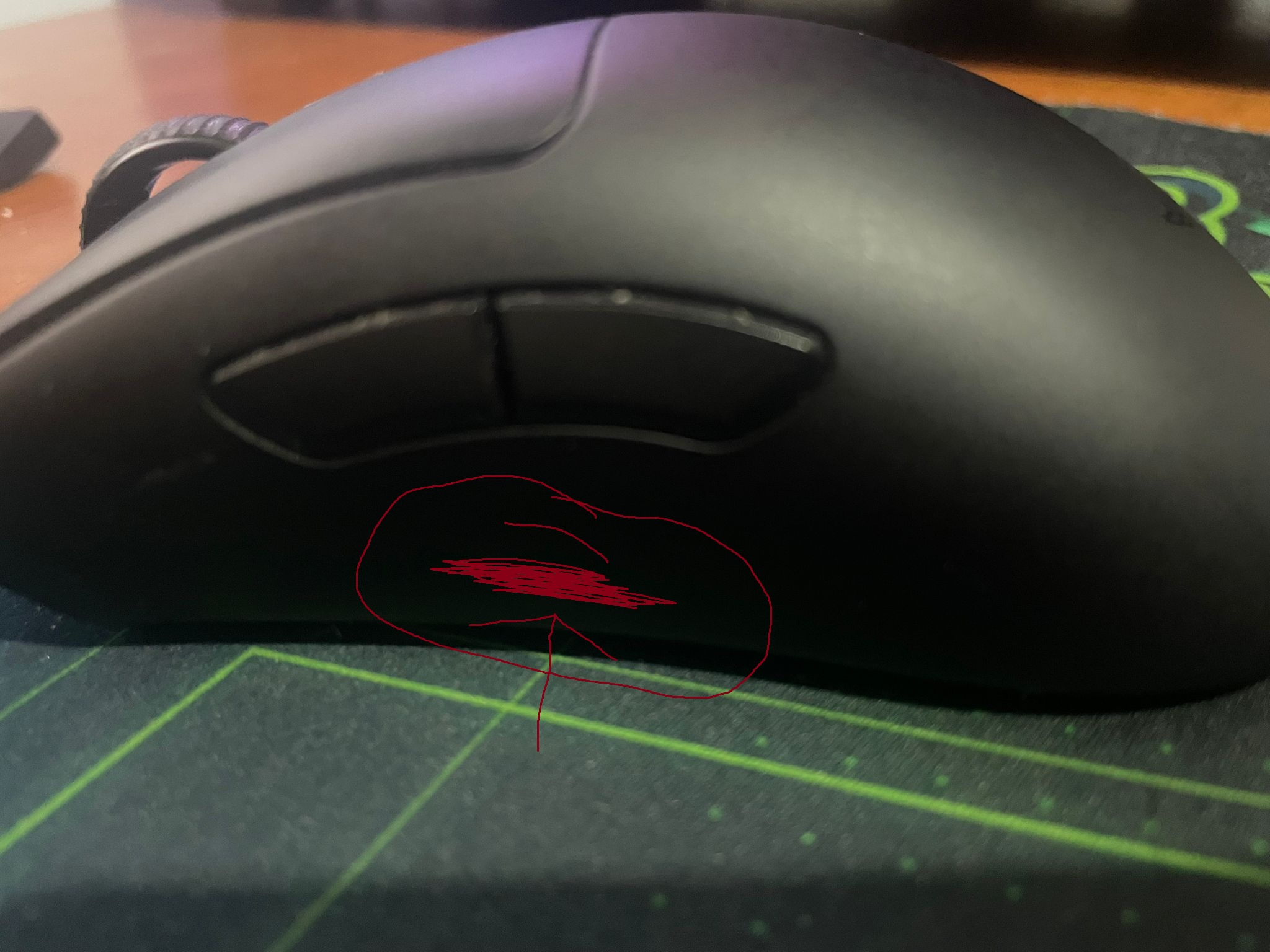 mouse.webp