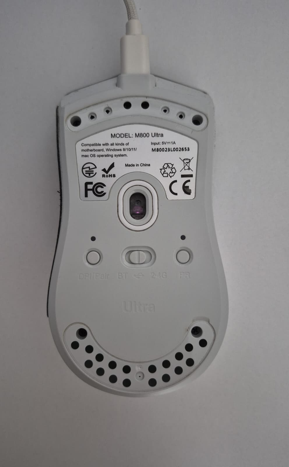 mouse.webp