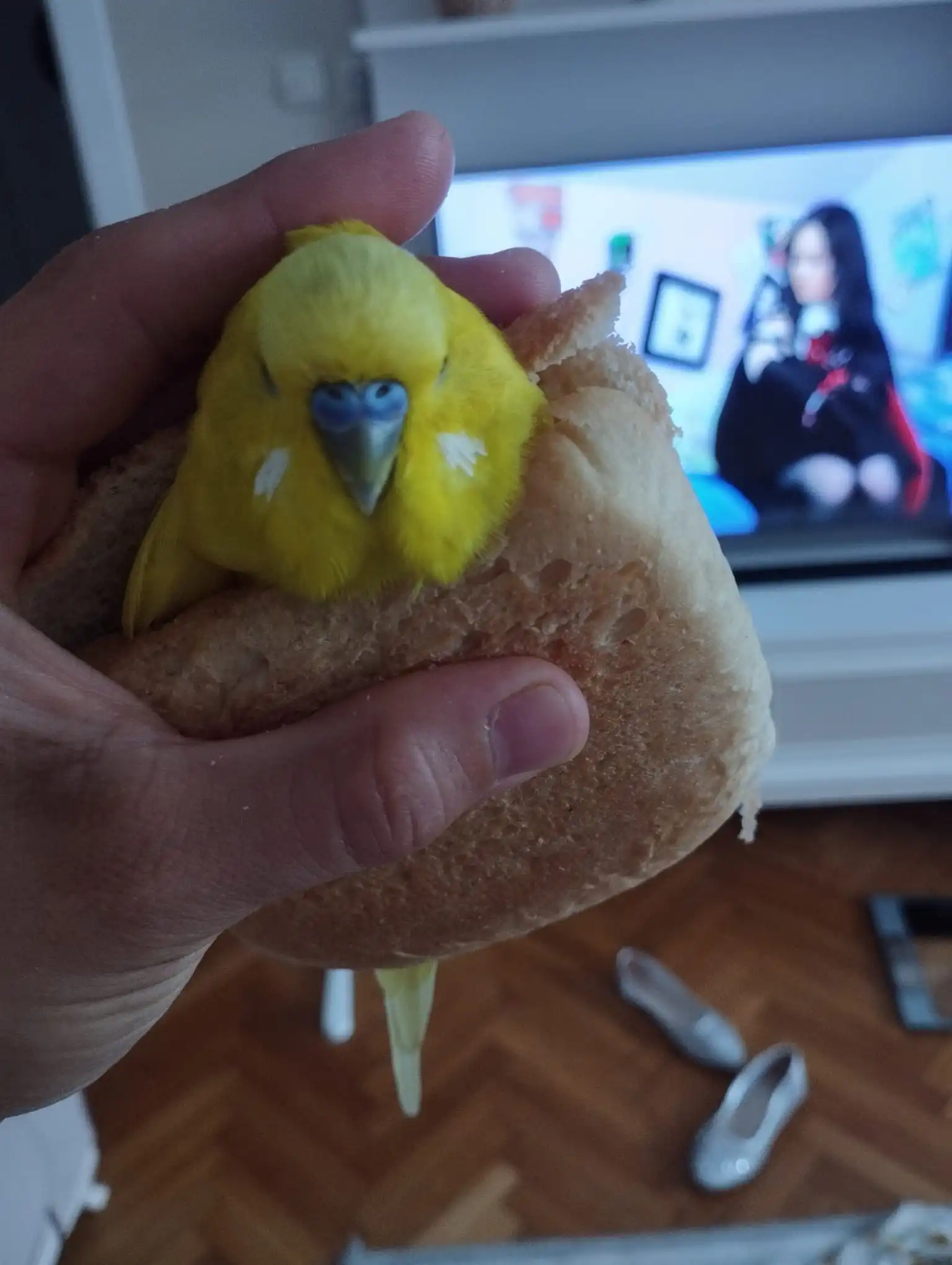 naniş.webp