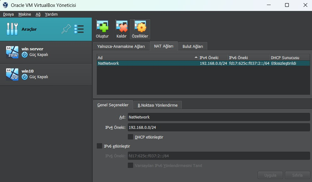 NATnetwork.webp