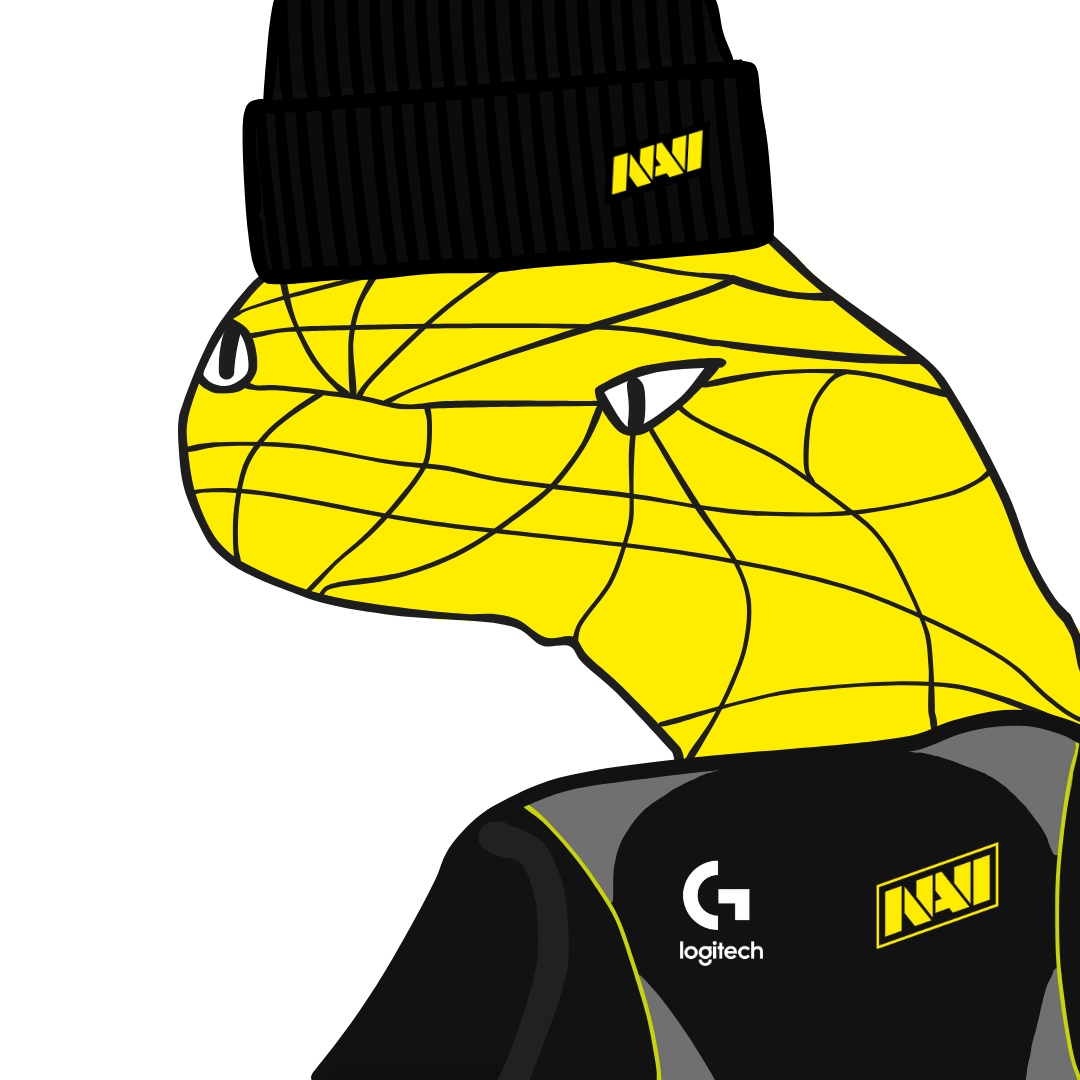 NaVi.webp