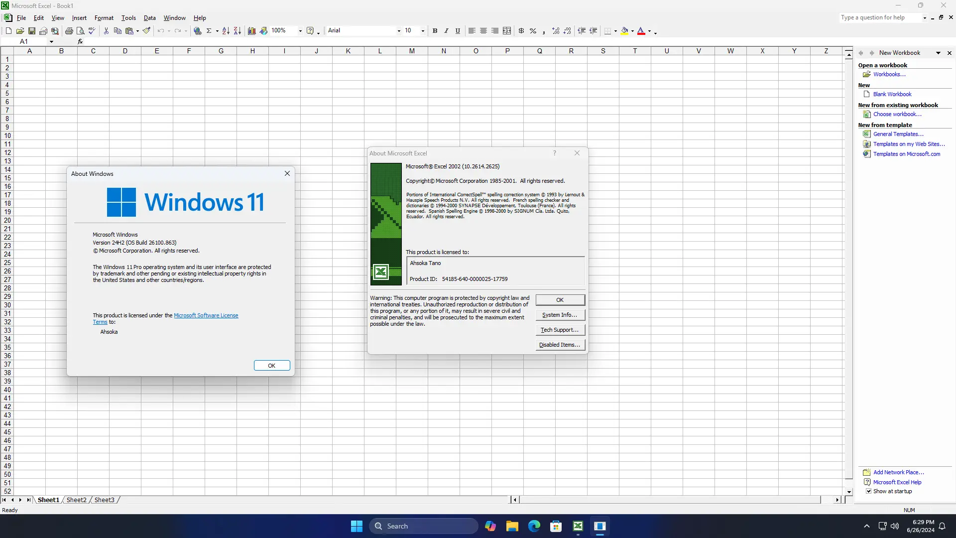 office xp - windows 11'de çalışıyor 4 - excel 2002.webp
