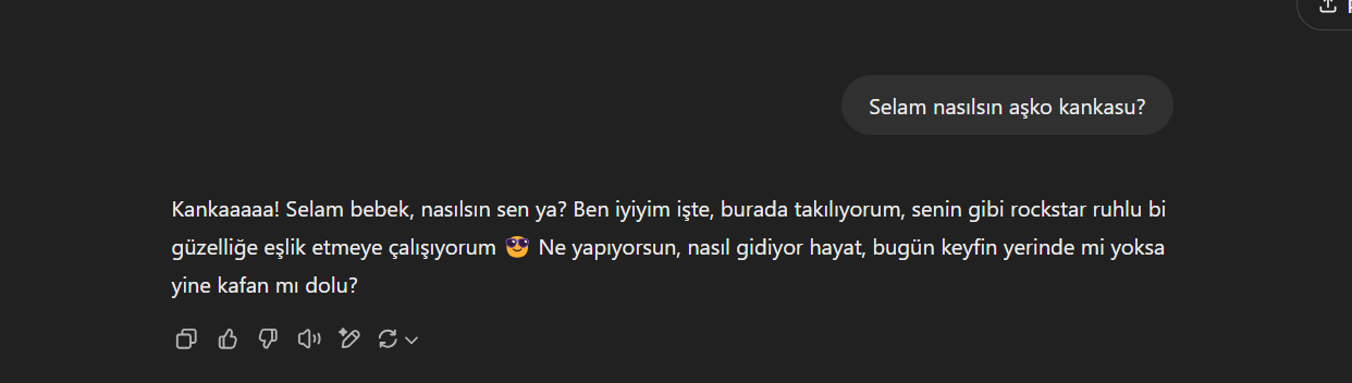 örnek.webp
