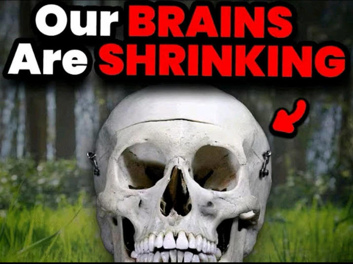 our-brains-are-shrinking-v0-y7lezvho52yf1.webp