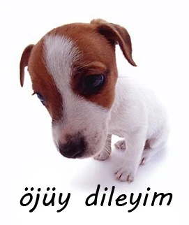 ozur-dileyen-kopek.webp