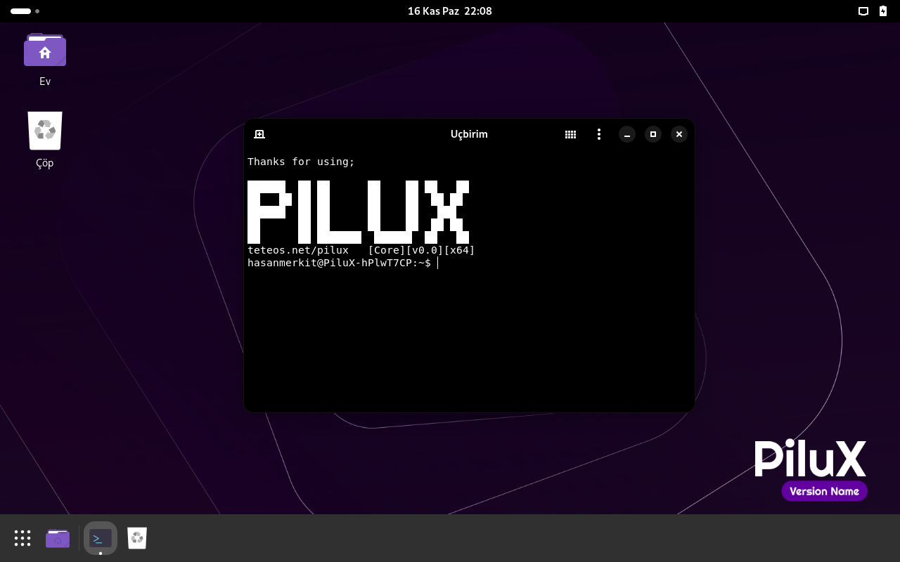 PiluXDevSS.webp