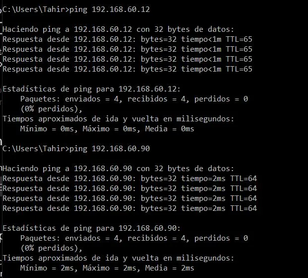 ping2.webp