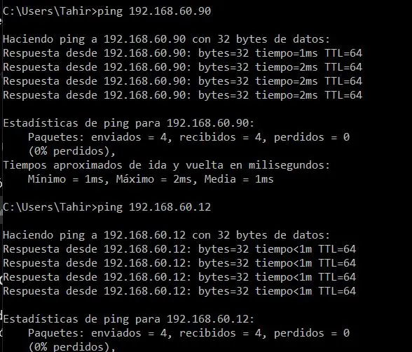 ping3.webp