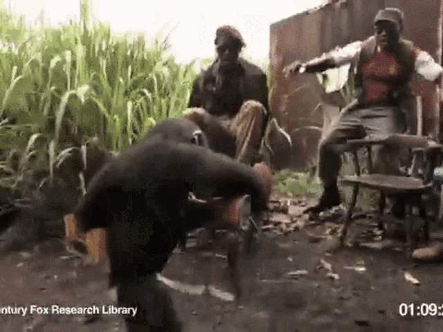 planet-of-the-apes-monkey-gun-shooting-gif-planet-of-the-ape.webp