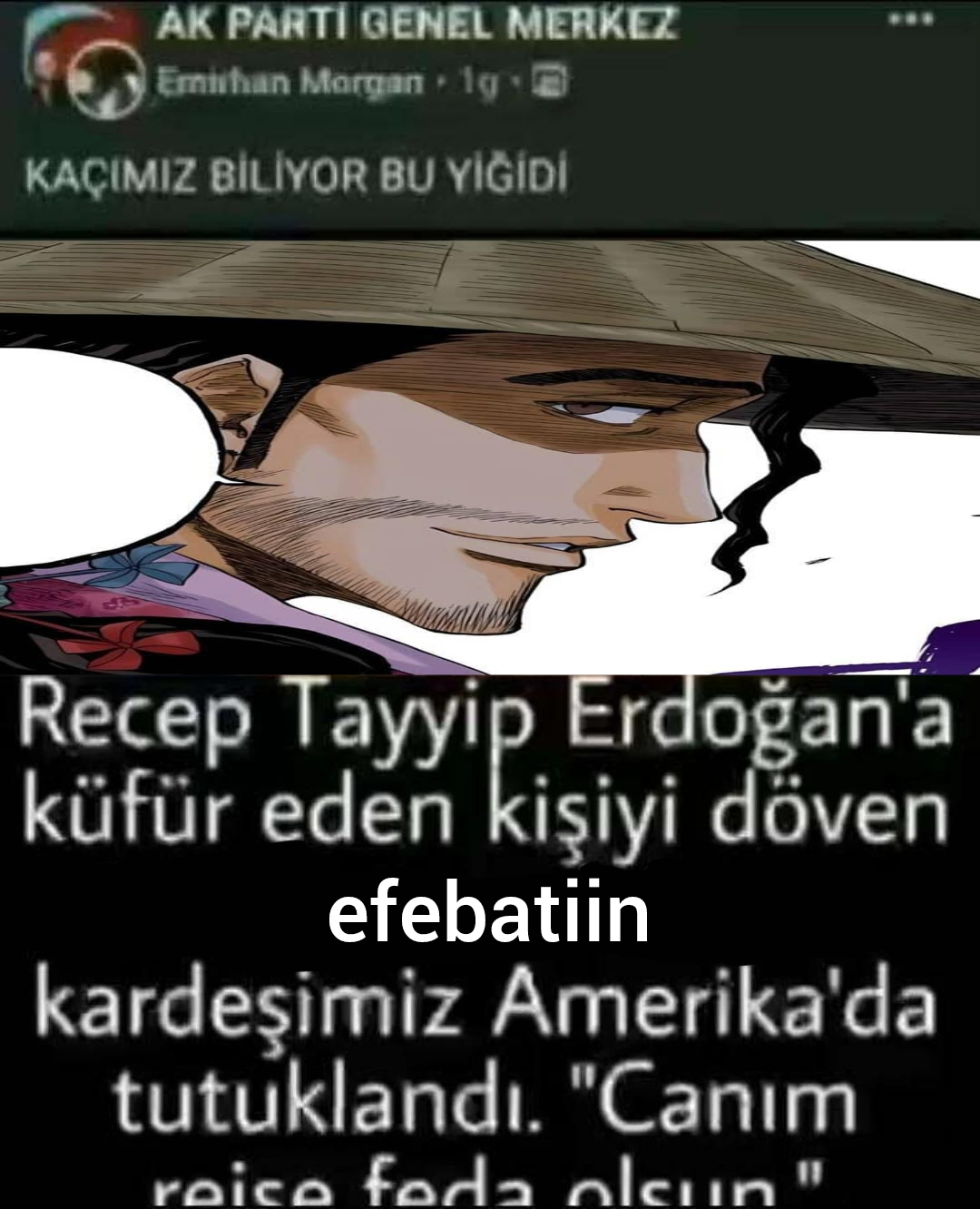 Polish_20250819_010155978.webp