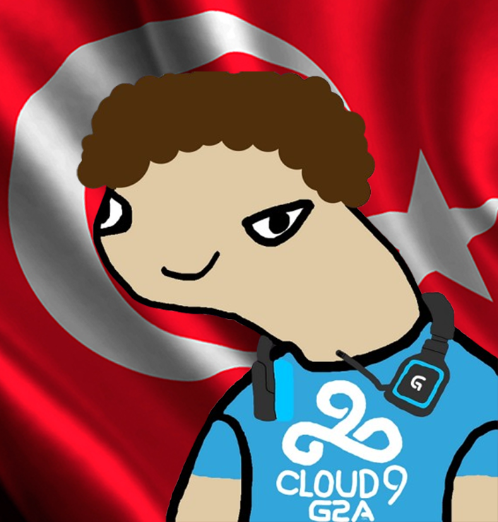PP2.webp