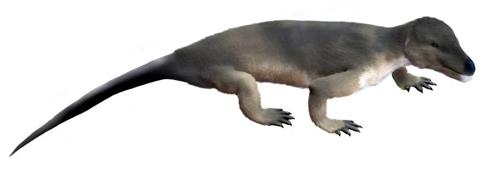 Procynosuchus NT.webp