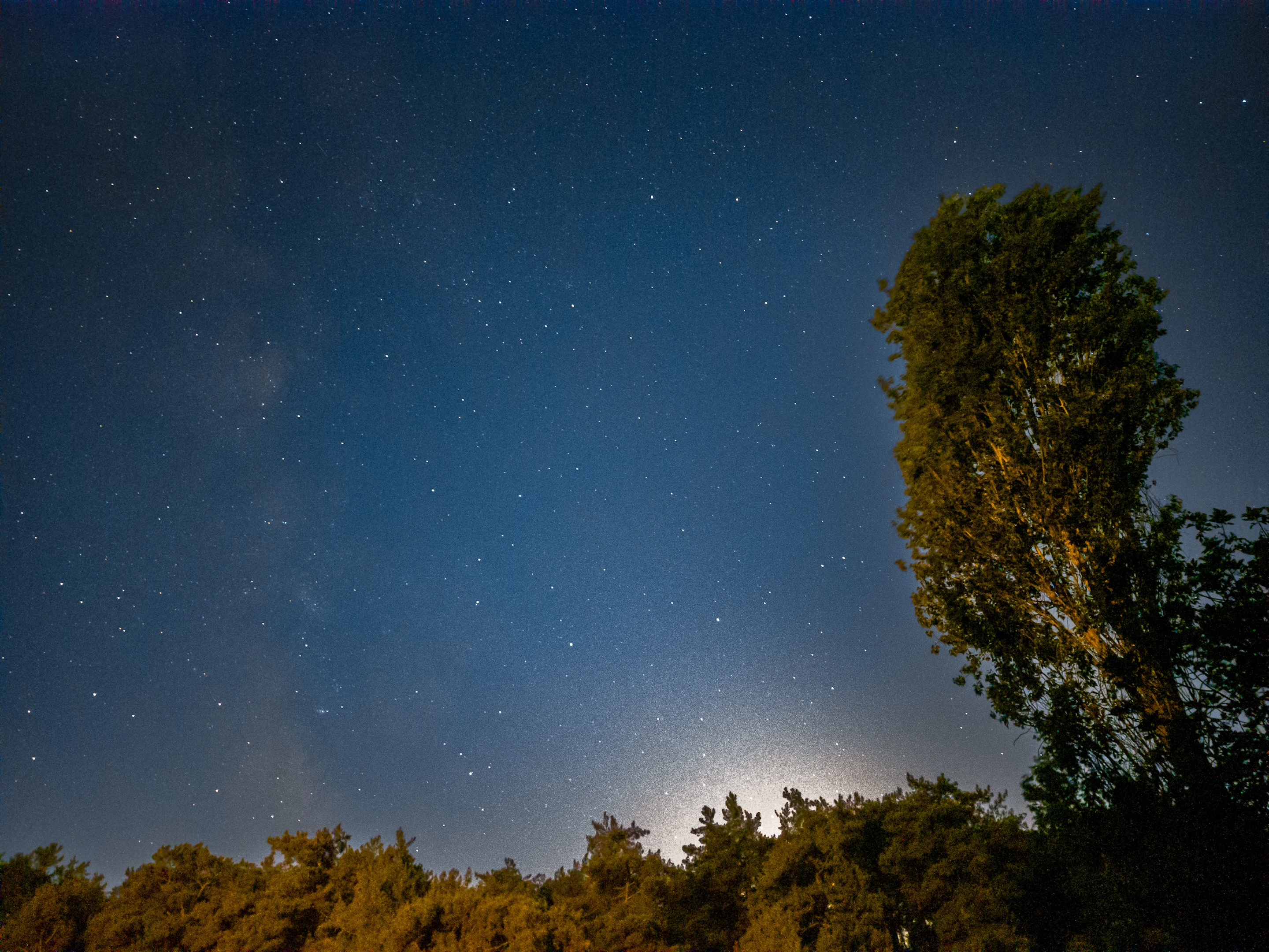 PSX_20250707_005902.webp
