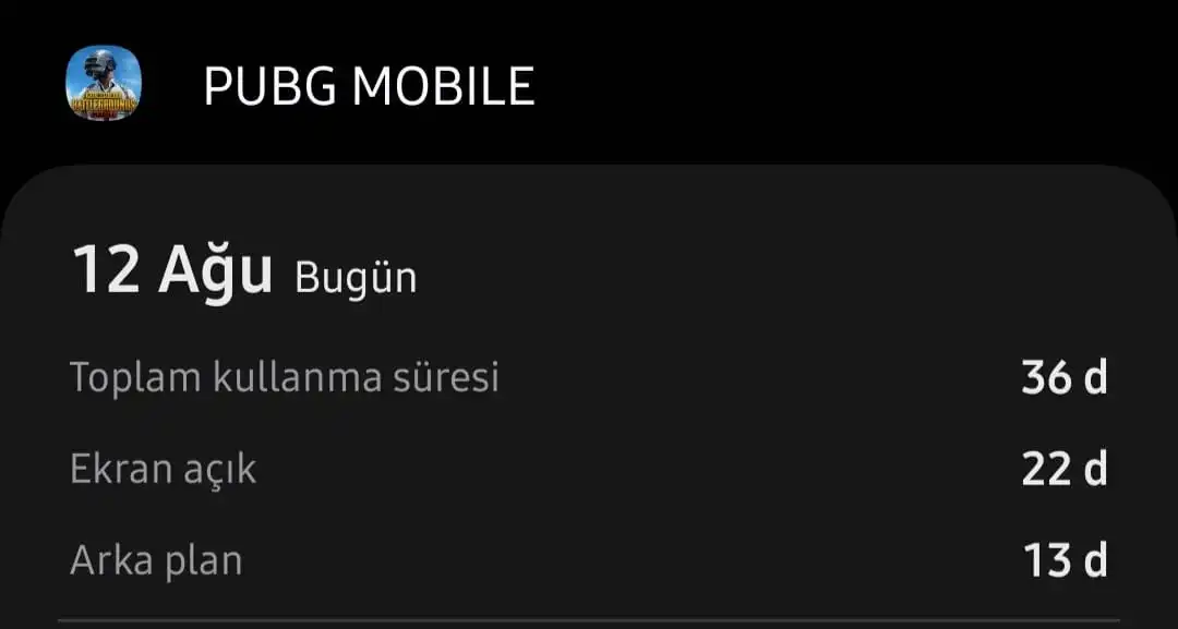 PUBGSarjKullanimi.webp