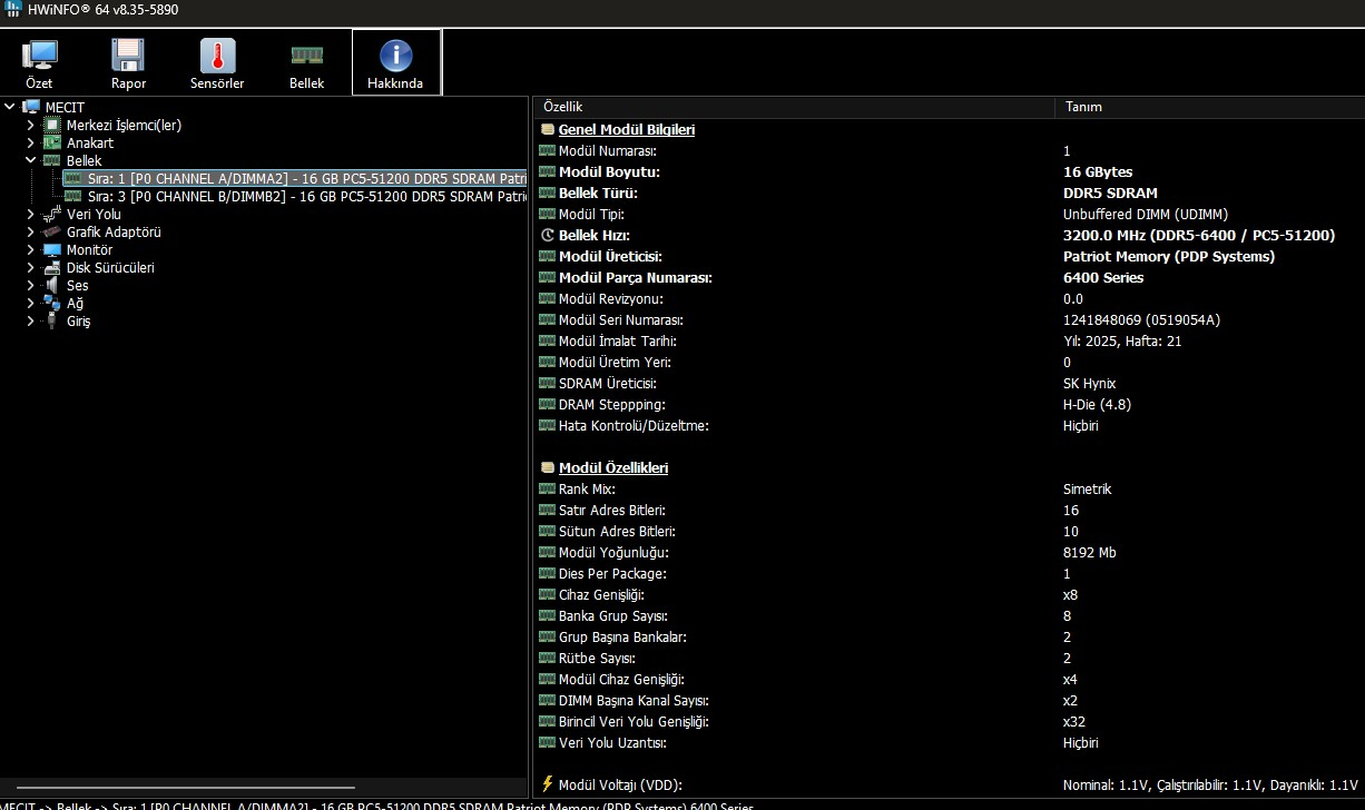 ram chip.webp
