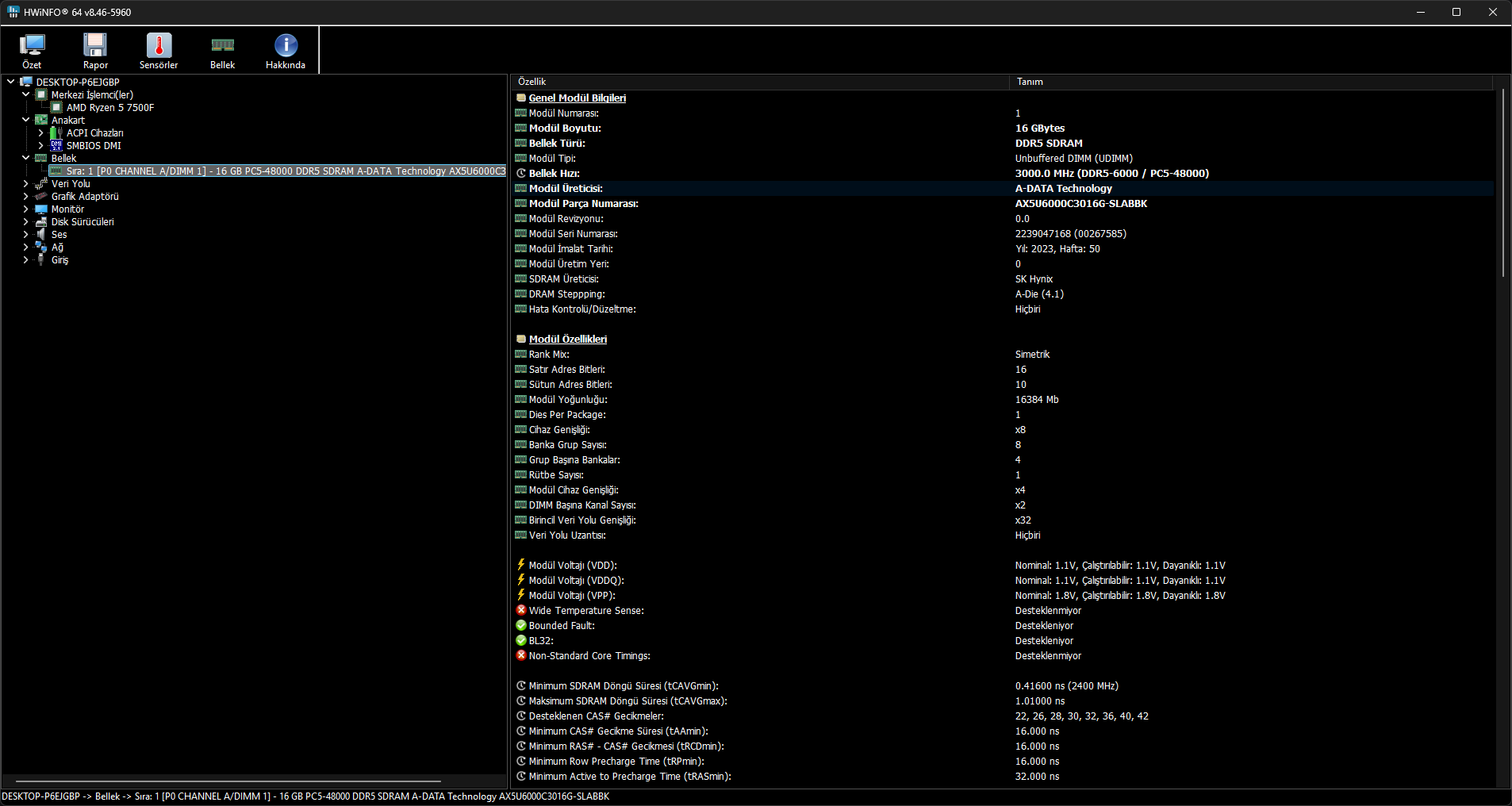ram1.webp
