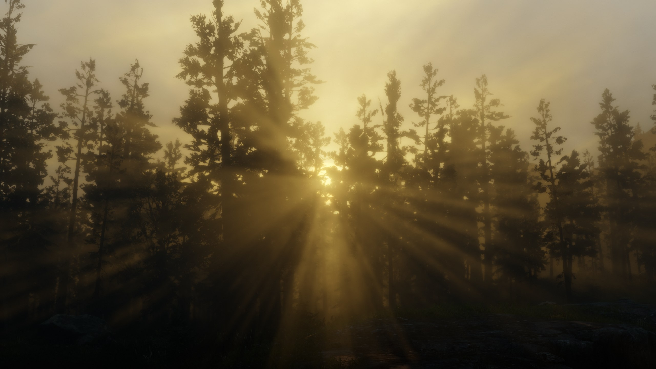 RDR2_kq2568W0hN.webp