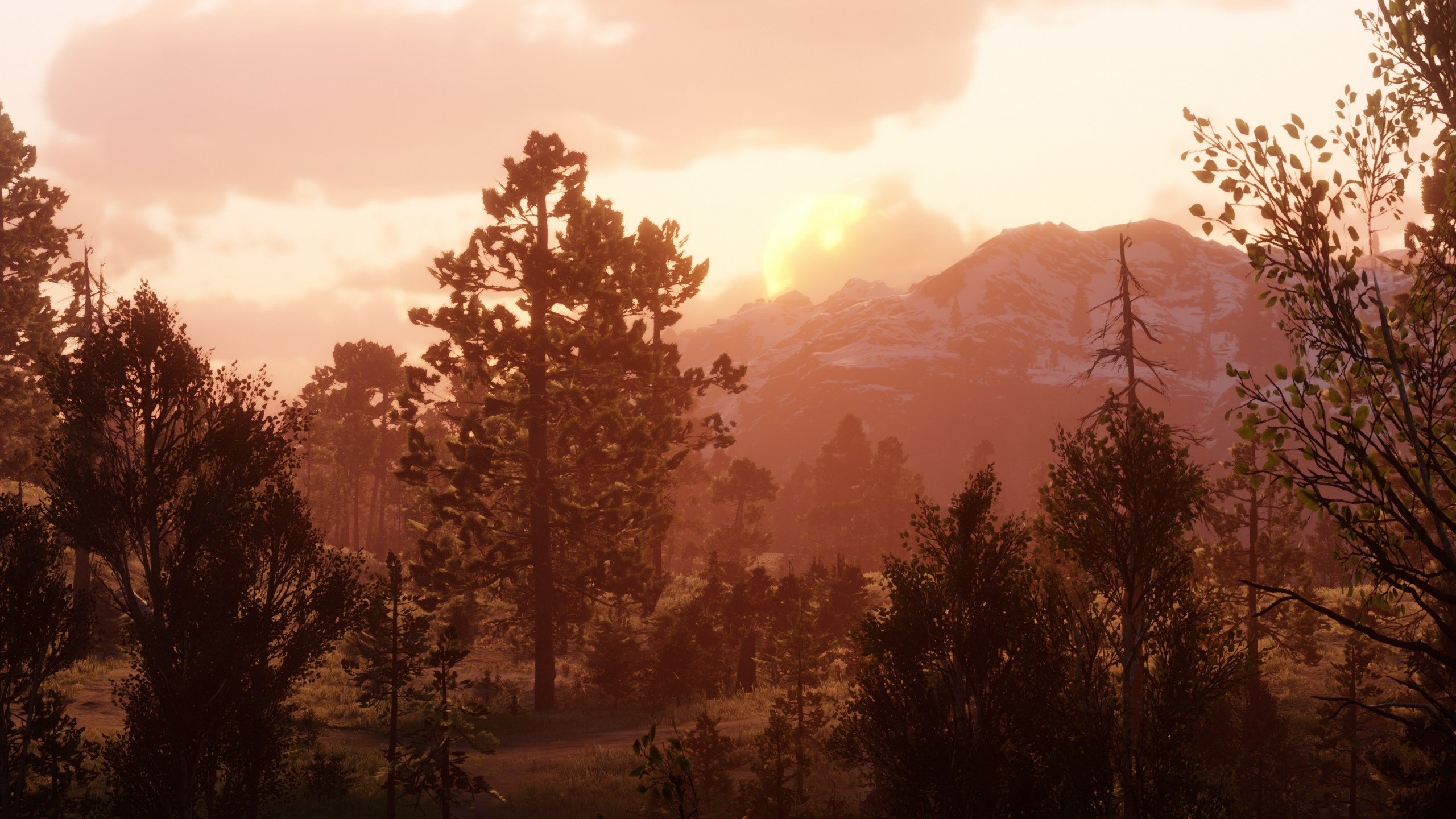 RDR2_LYBNrNebLL.webp