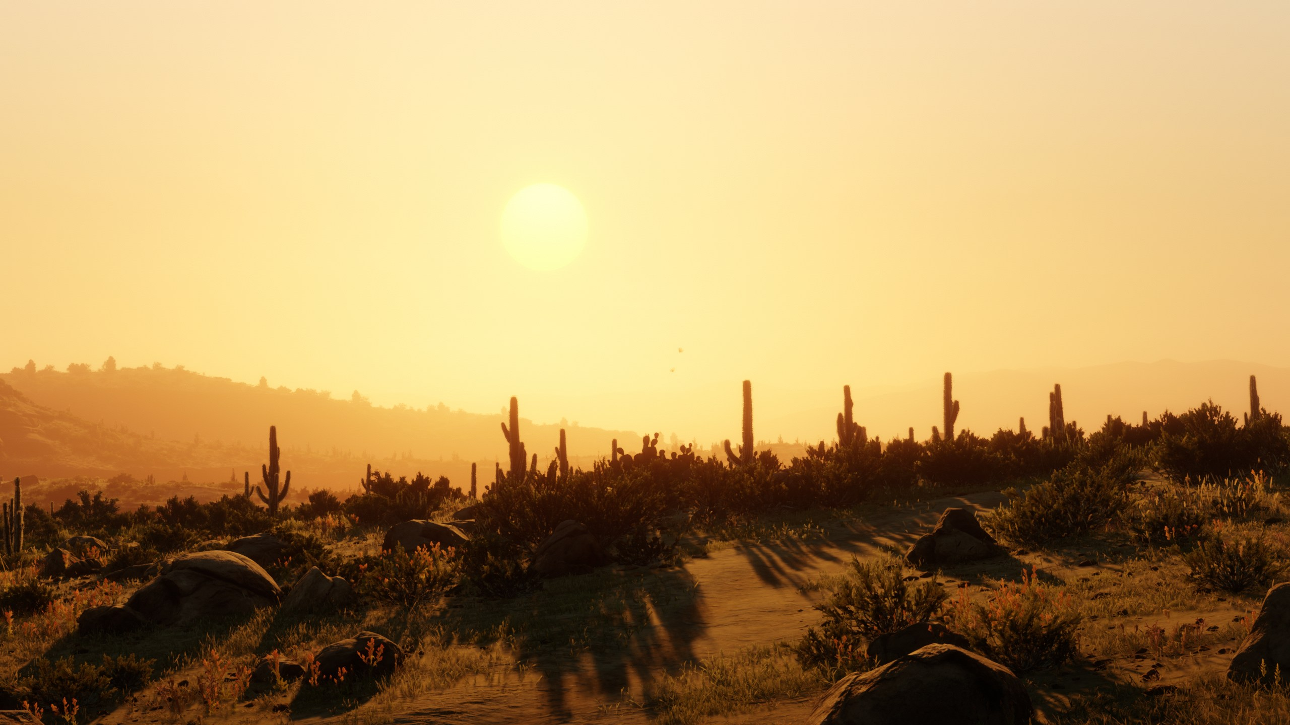 RDR2_VBul5mMloO.webp