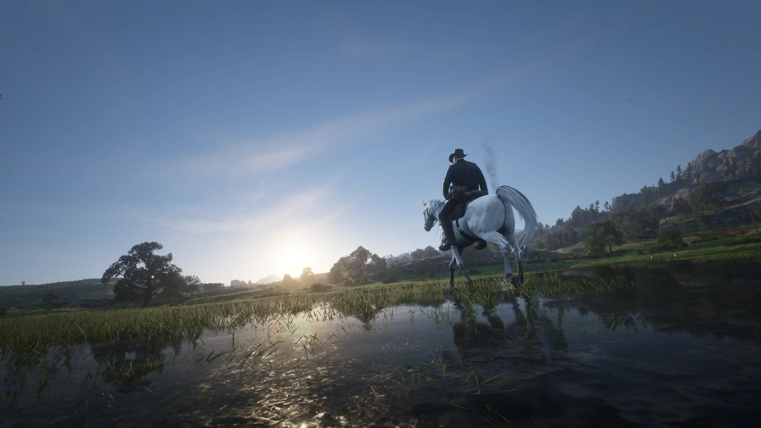 Red Dead Redemption 2 Screenshot 2024.05.10 - 14.05.53.48.webp