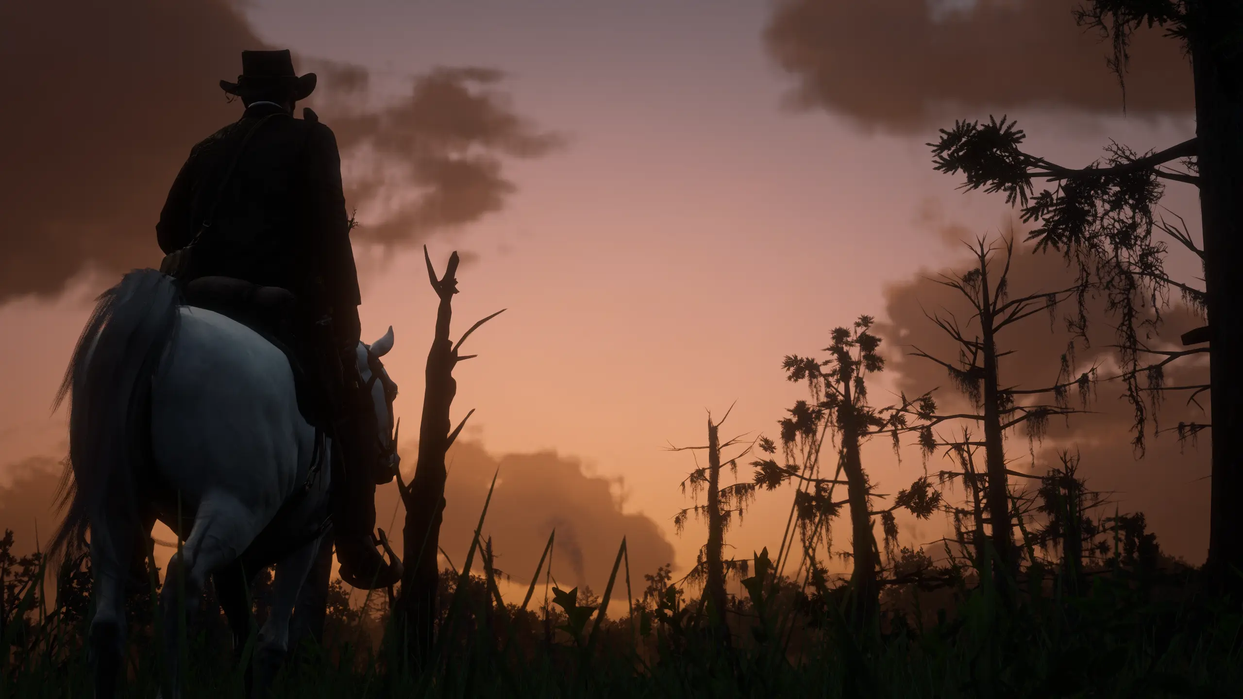 Red Dead Redemption 2 Screenshot 2024.05.16 - 20.22.56.88.webp