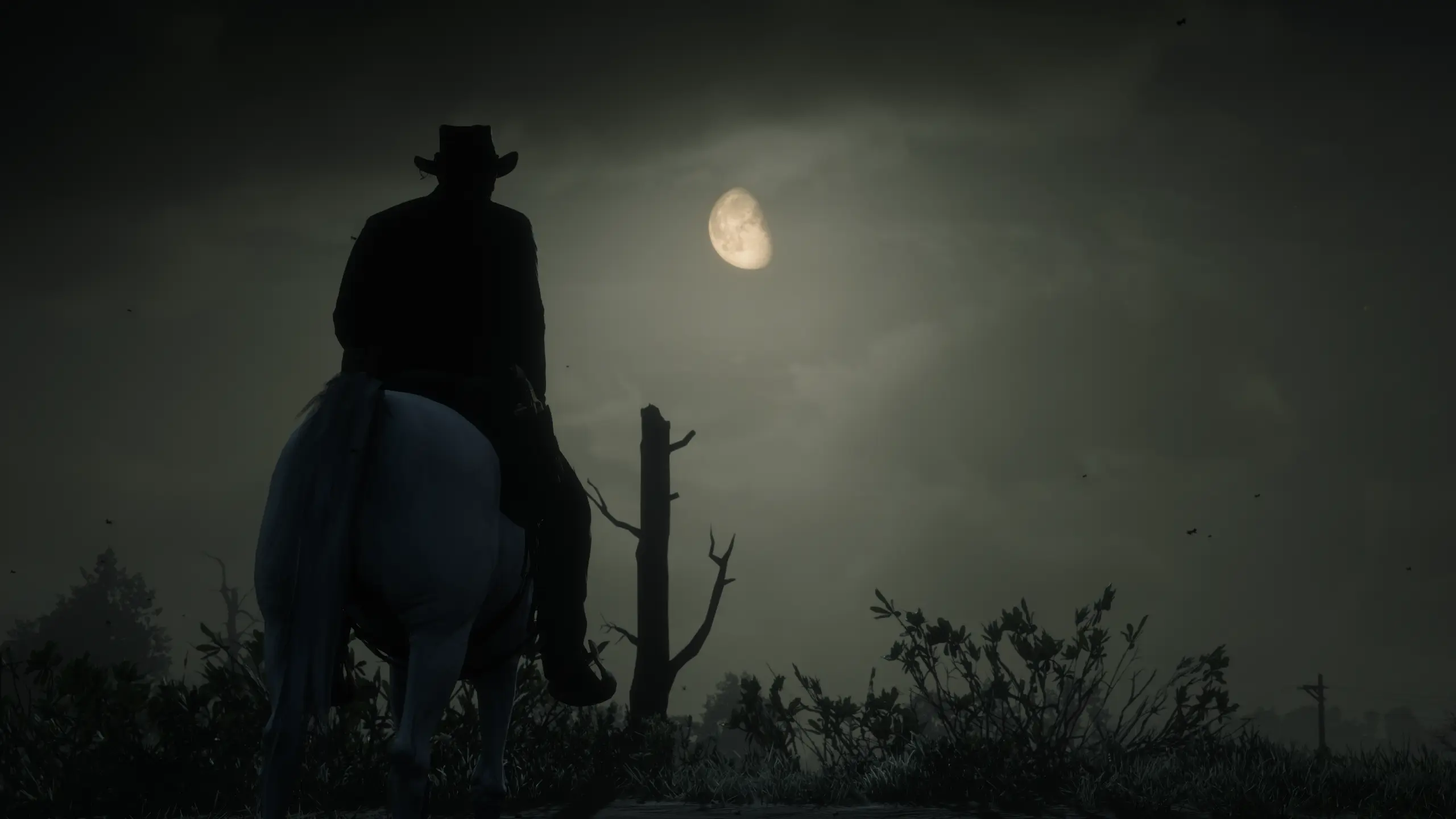 Red Dead Redemption 2 Screenshot 2024.05.16 - 20.26.11.56.webp