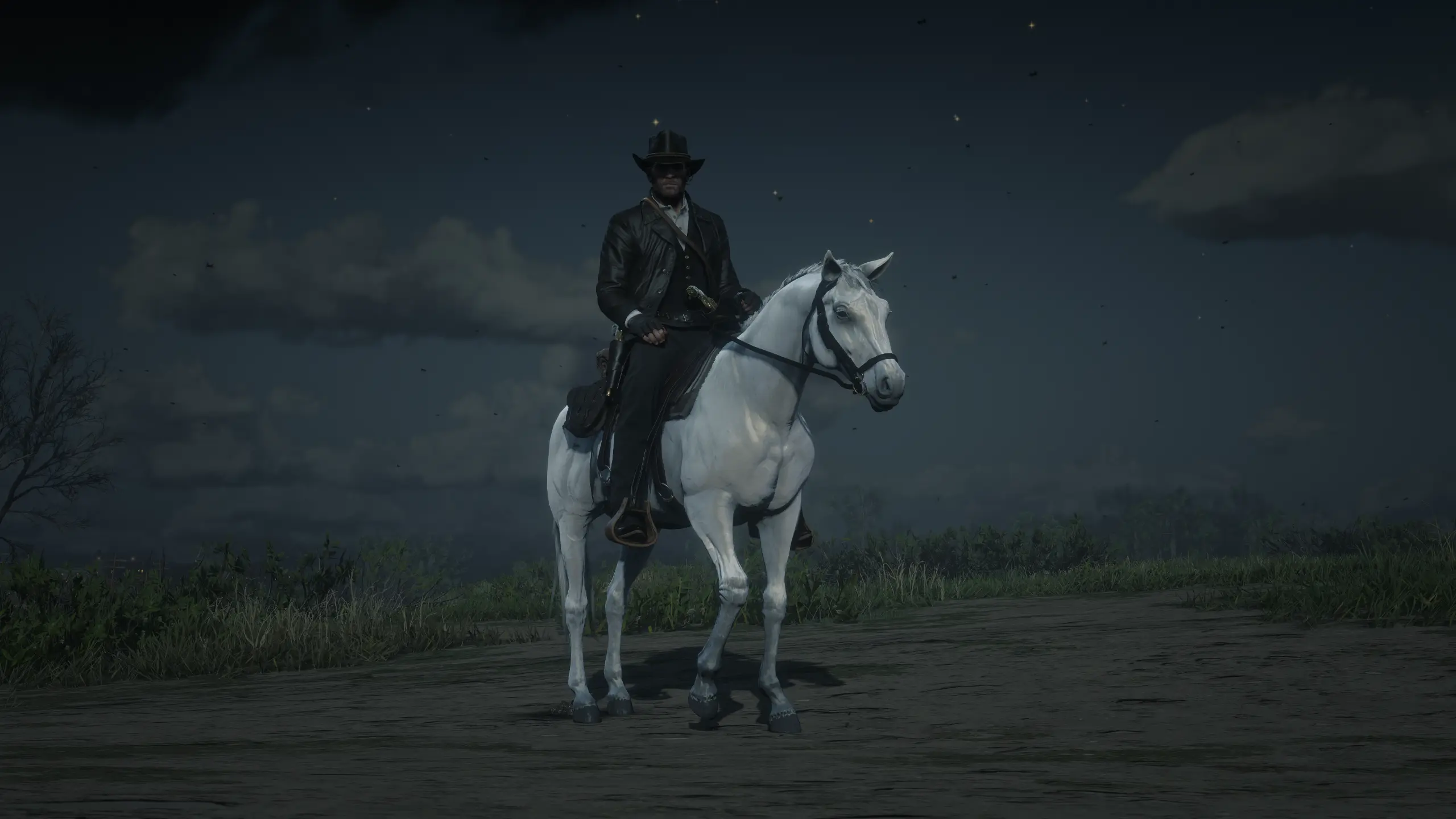 Red Dead Redemption 2 Screenshot 2024.05.16 - 20.30.36.21.webp