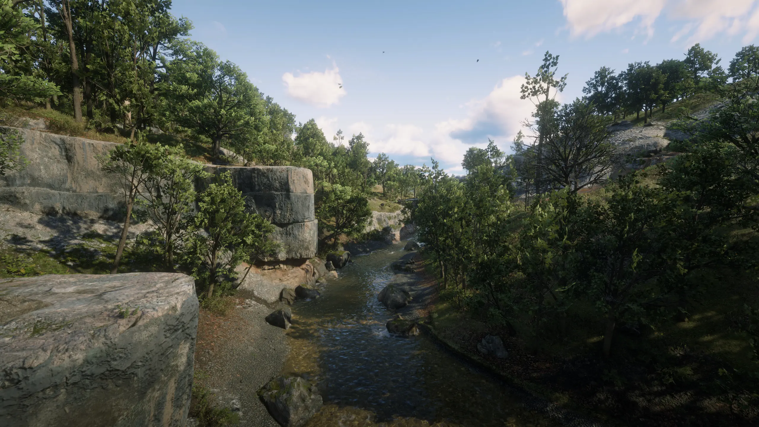 Red Dead Redemption 2 Screenshot 2024.05.16 - 21.03.34.41.webp