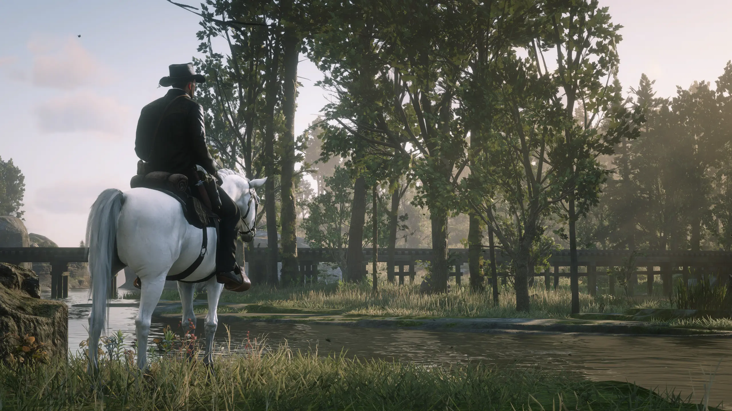 Red Dead Redemption 2 Screenshot 2024.05.20 - 23.17.09.29.webp