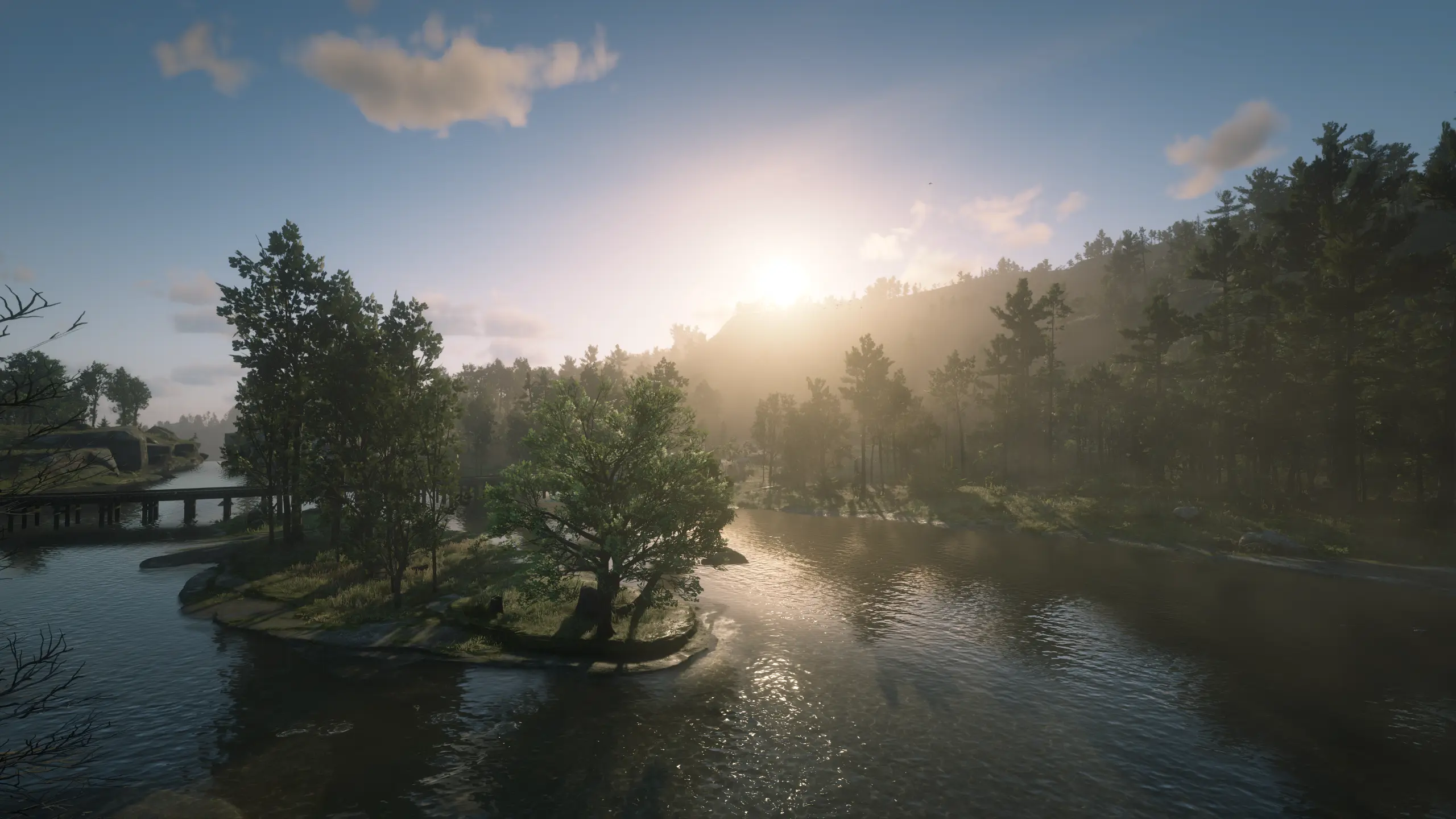 Red Dead Redemption 2 Screenshot 2024.05.20 - 23.17.53.73.webp