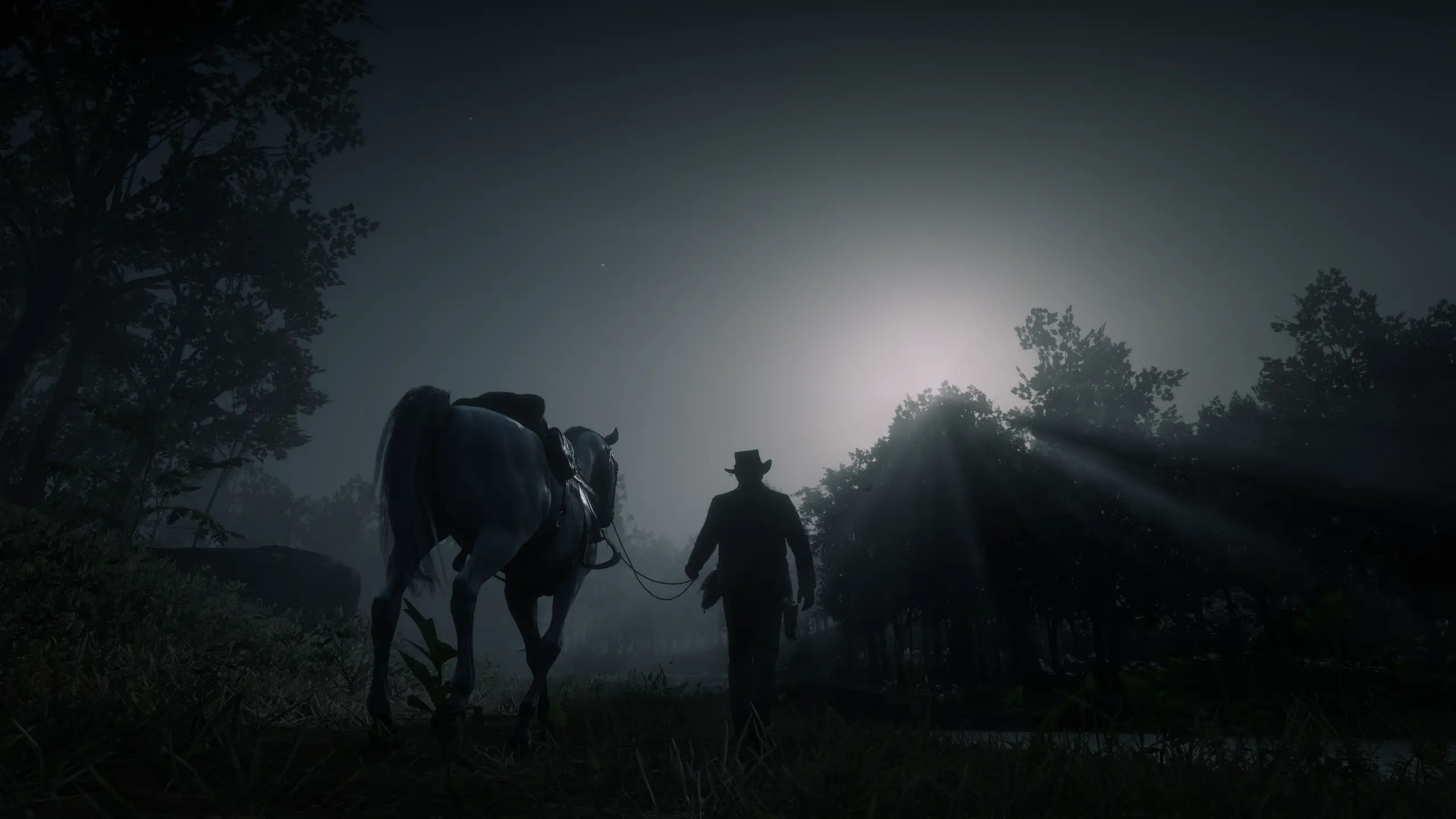 Red Dead Redemption 2 Screenshot 2024.05.23 - 00.27.40.63.webp