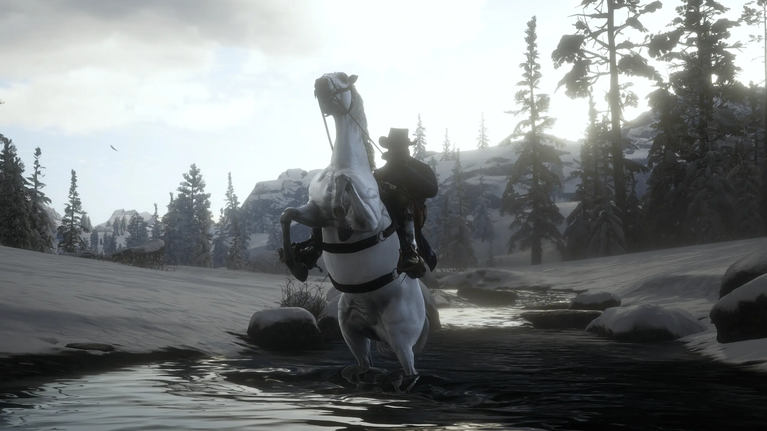 Red Dead Redemption 2 Screenshot 2024.05.23 - 17.34.07.95.webp