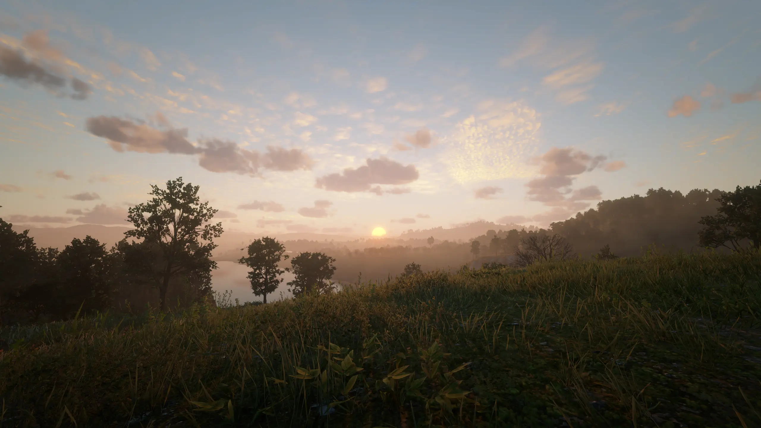 Red Dead Redemption 2 Screenshot 2024.05.23 - 21.33.46.48.webp