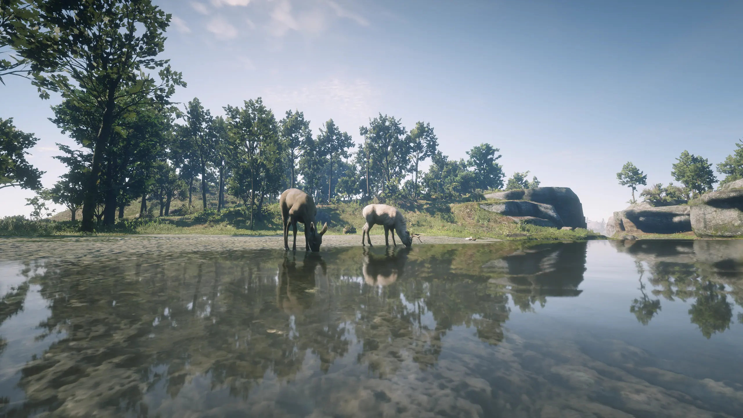 Red Dead Redemption 2 Screenshot 2024.05.23 - 22.41.23.82.webp