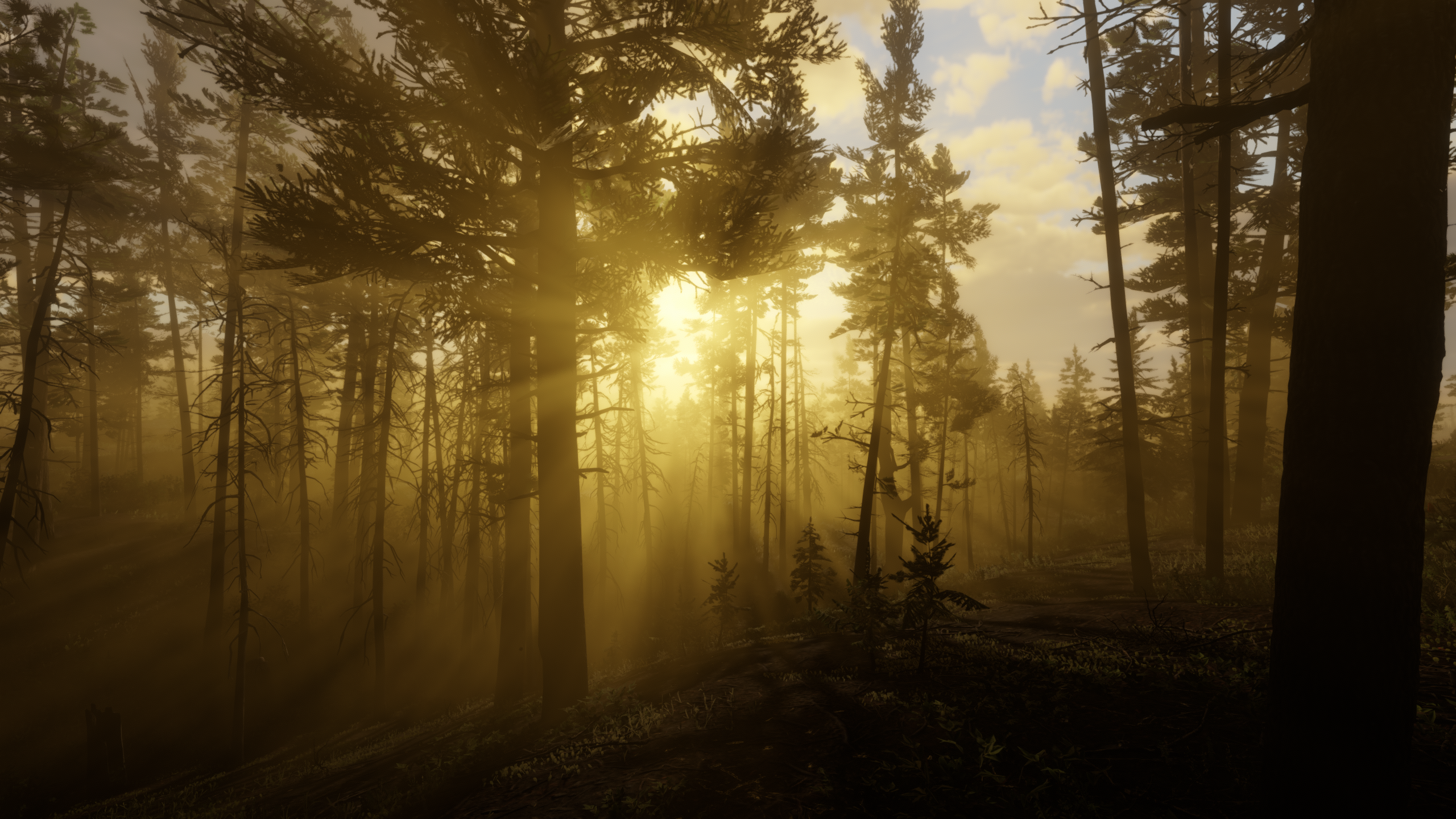 Red Dead Redemption 2 Screenshot 2026.07.15 - 01.31.51.87.webp