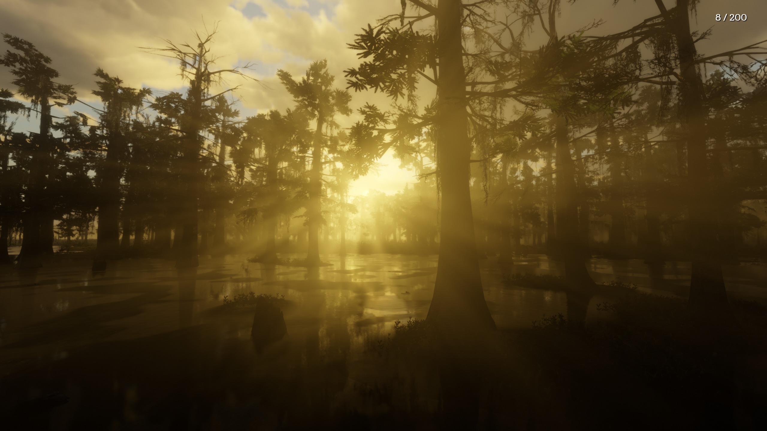 Red Dead Redemption 2 Screenshot 2026.07.15 - 01.45.45.45.webp