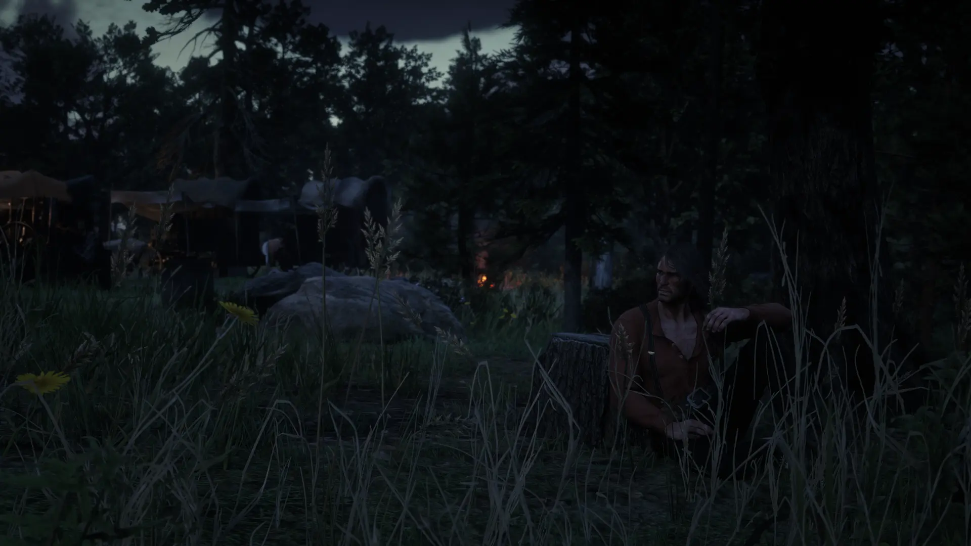 Red_Dead_Redemption_2_Screenshot_2023.05.19_-_19.29.24.05.webp