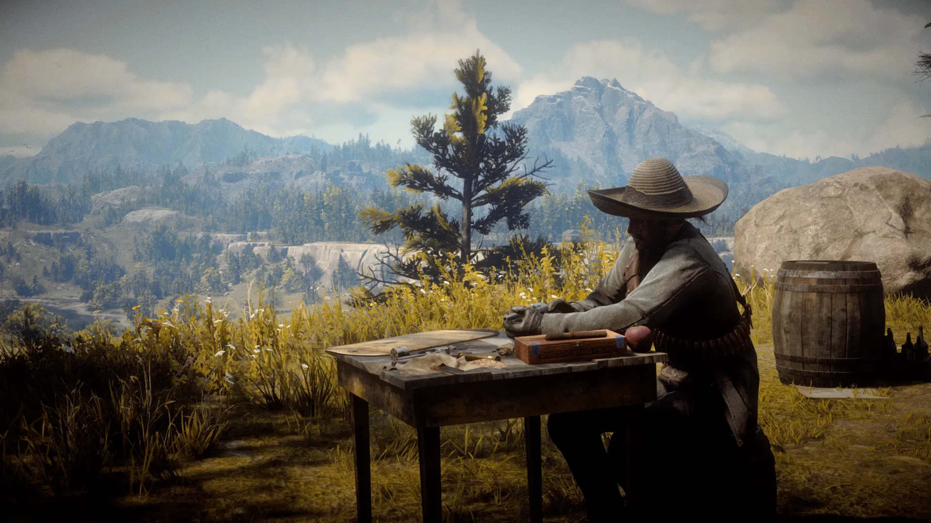 Red_Dead_Redemption_2_Screenshot_2023.05.19_-_22.33.27.37.webp