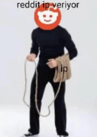 reddit-ip-veriyor-v0-dxw41wcwntpd1.webp