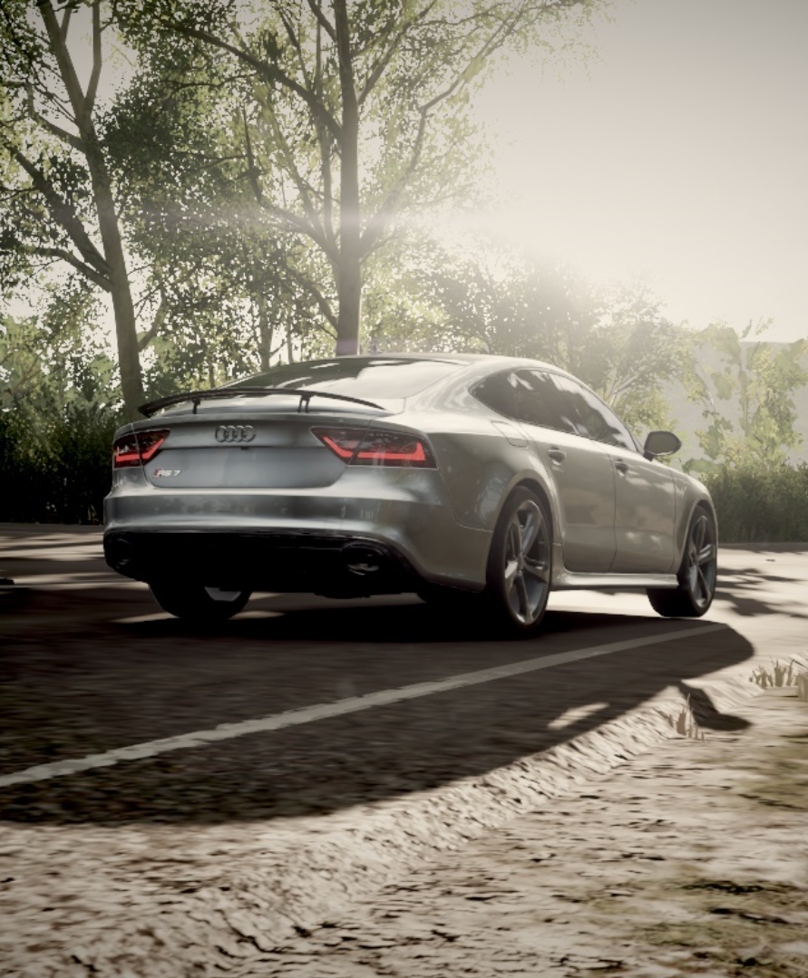 RS7.webp
