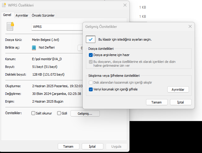 s1.webp