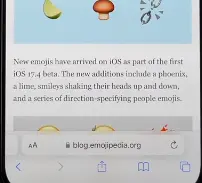 Safari.webp
