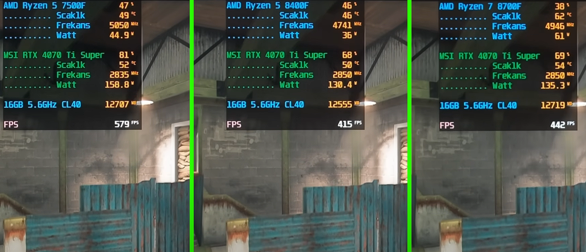 saguyhfa.webp