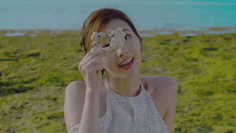 sana.gif
