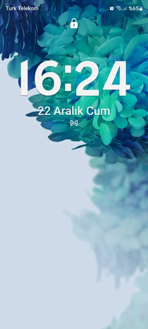 Screenshot_20231222_162415_One UI Home.webp