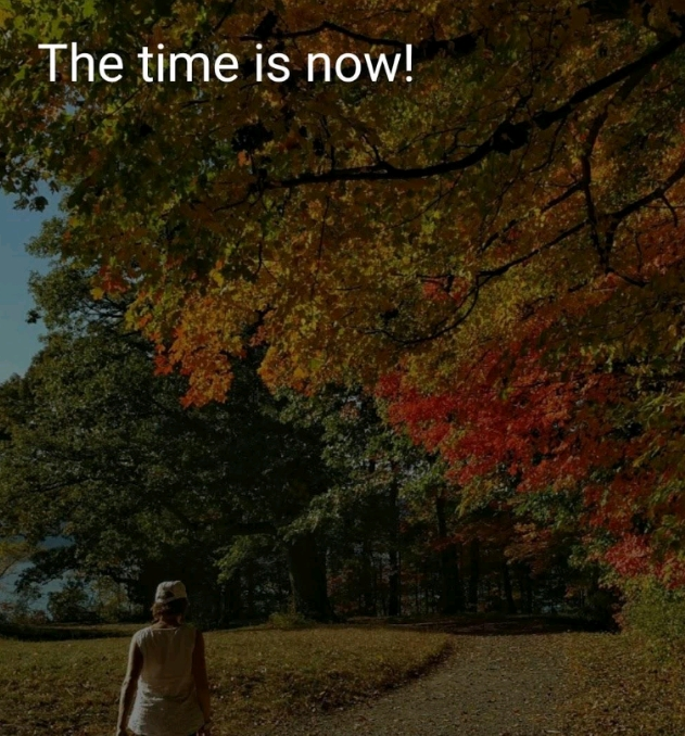 Screenshot_2024-03-05-21-10-55-11_66a3b1c2c181ff92b8bf945e748b6fb7.webp