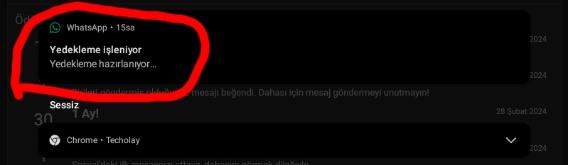 Screenshot_2024-06-02-22-48-08-584.webp