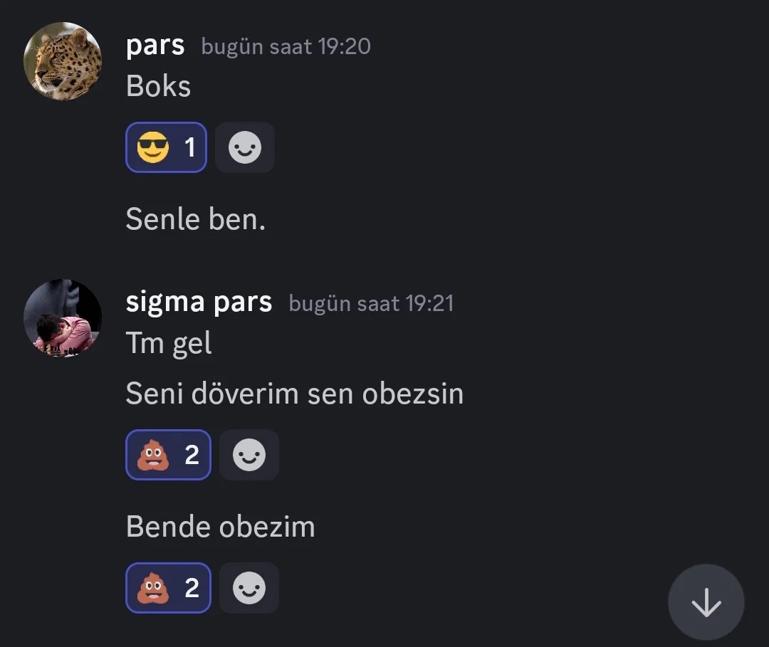 Screenshot_2024-10-12-19-24-51-569-edit_com.discord.webp