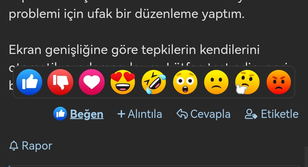 Screenshot_20240126_204143.webp